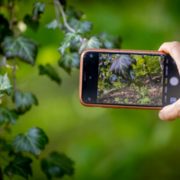 Handyfotografie