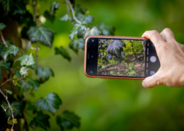 Handyfotografie